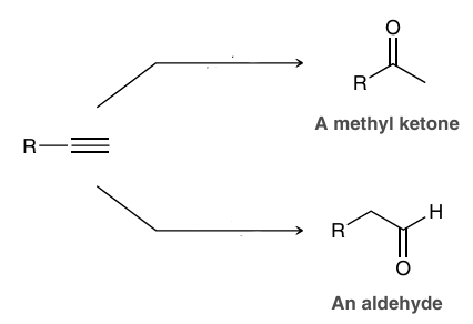 <p>markovnikov and anti-markovnikov hydration of alkyne</p>