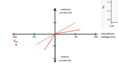 <ul><li><p>at negative voltages the channel passes large inward current </p></li><li><p>at positive voltages, outward current is very small </p></li></ul><p></p>