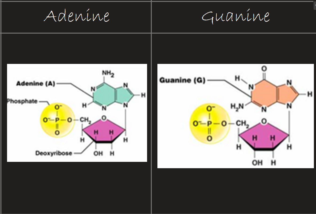 knowt flashcard image