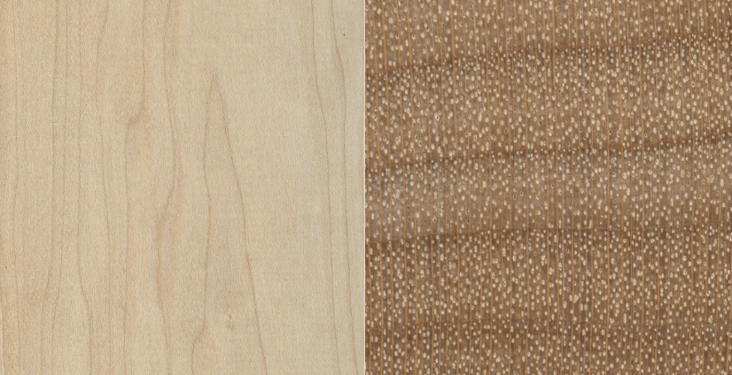 <p>diffuse porous</p>