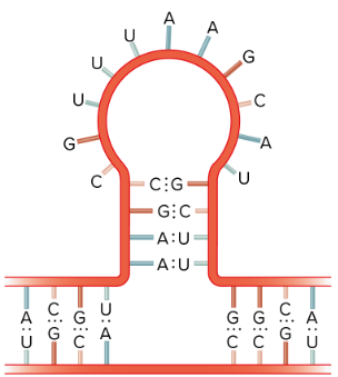 <p>What is this?</p>