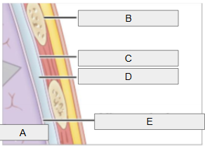 <p>D</p>