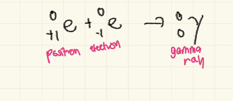 <p>Positron and electron annihilate each other to produce gamma ray energy</p>