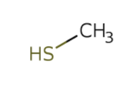 <p>Thiol</p><p>Sulfur Based</p><p>-thiol</p><p>e.g. methanethiol</p>