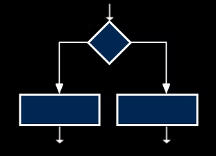 <p>programming constructions: selection</p>