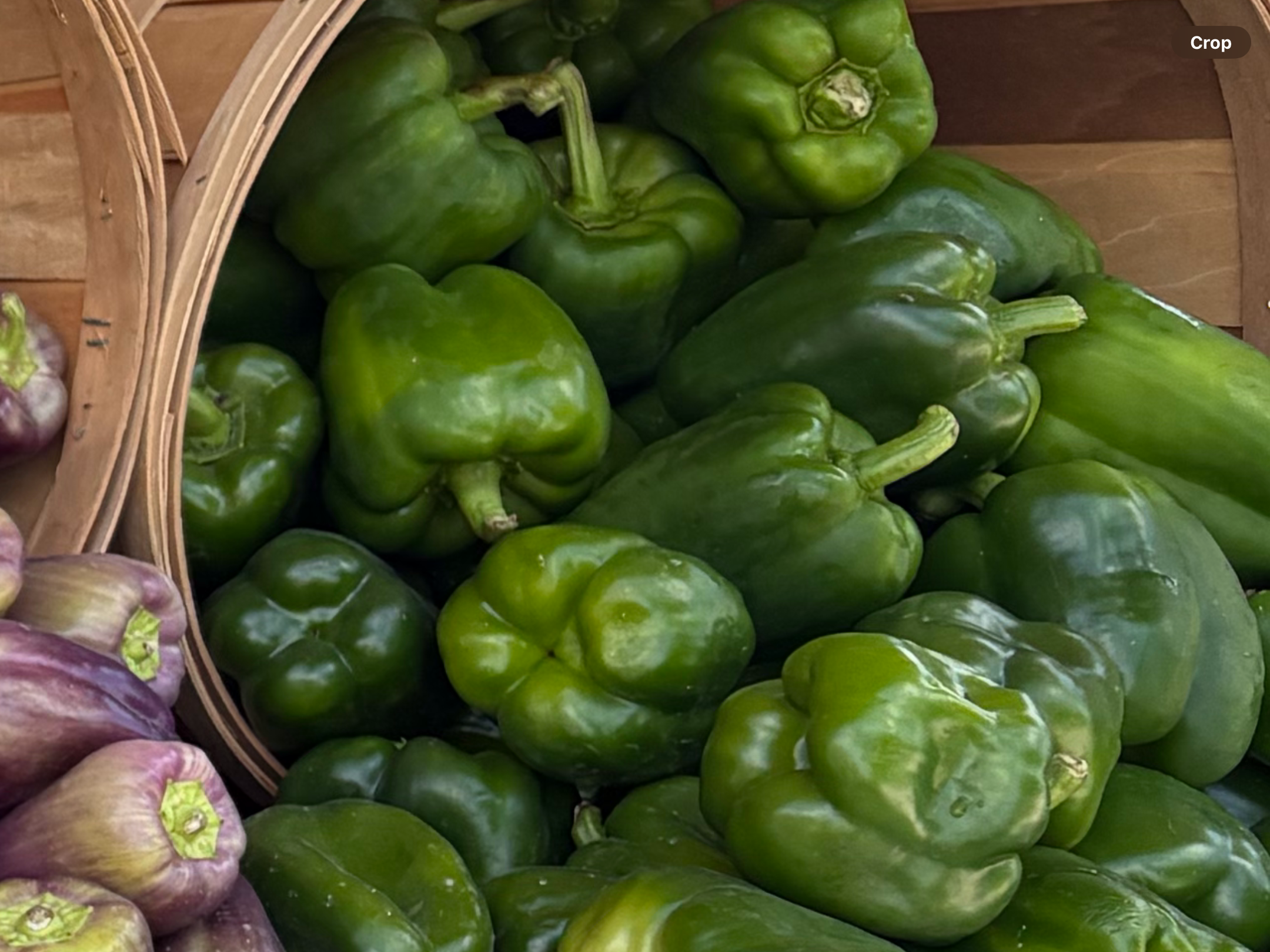 <p>Peppers green/yellow/purple etc</p>