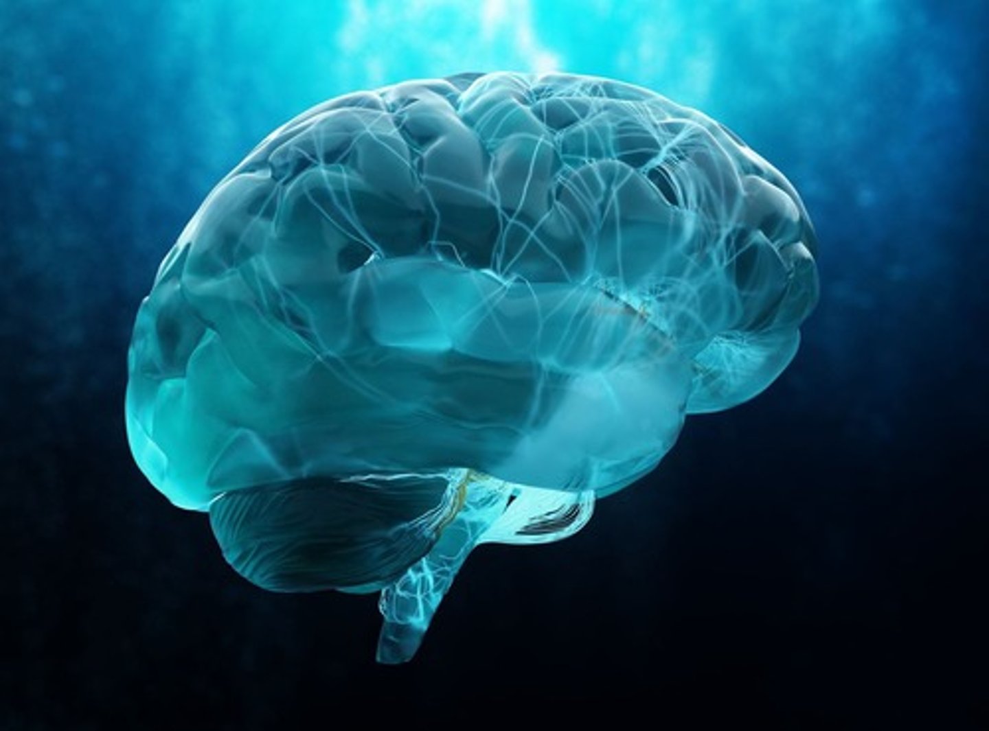 <p>The CNS is capable of change after injury.</p>