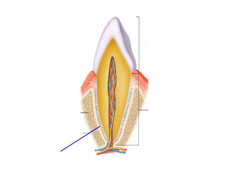 <p>What is this image pointing at? </p>