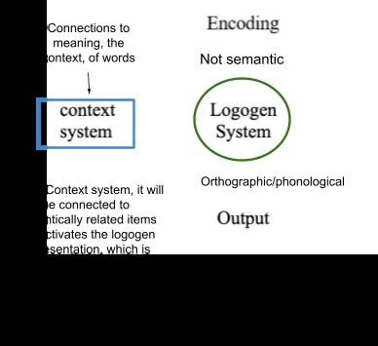 <p>They are processed using different codes and brain structures, with verbal stimuli favoring the left hemisphere and nonverbal stimuli favoring the right hemisphere.</p>