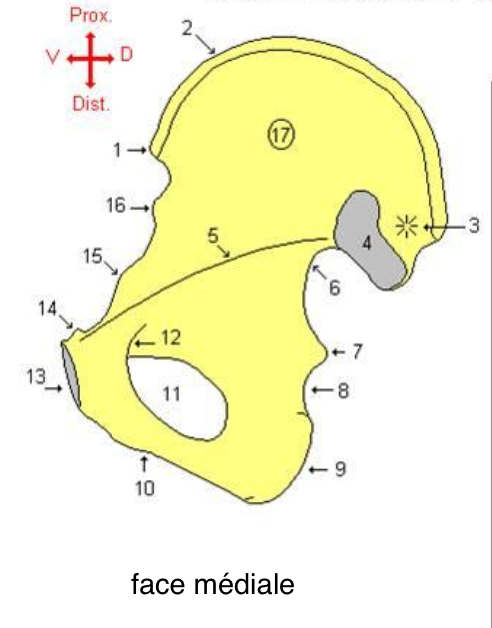 <p>9</p>