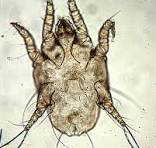 <p>what is this </p>