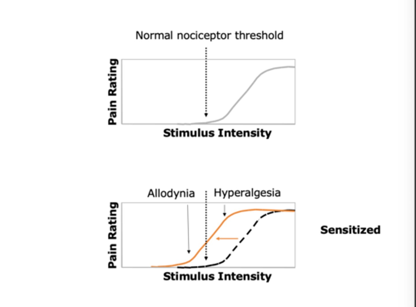 <p>Increased sensitivity to painful stimuli.</p><p></p><p>Sensitization results in a leftward shift in the stimulus-response function, where non-painful stimuli become painful (allodynia) and painful stimuli feel much more intense (hyperalgesia)</p>