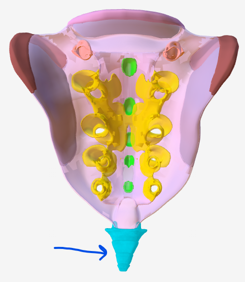 <p>Hoe heet het onderdeel van dit bot?</p>