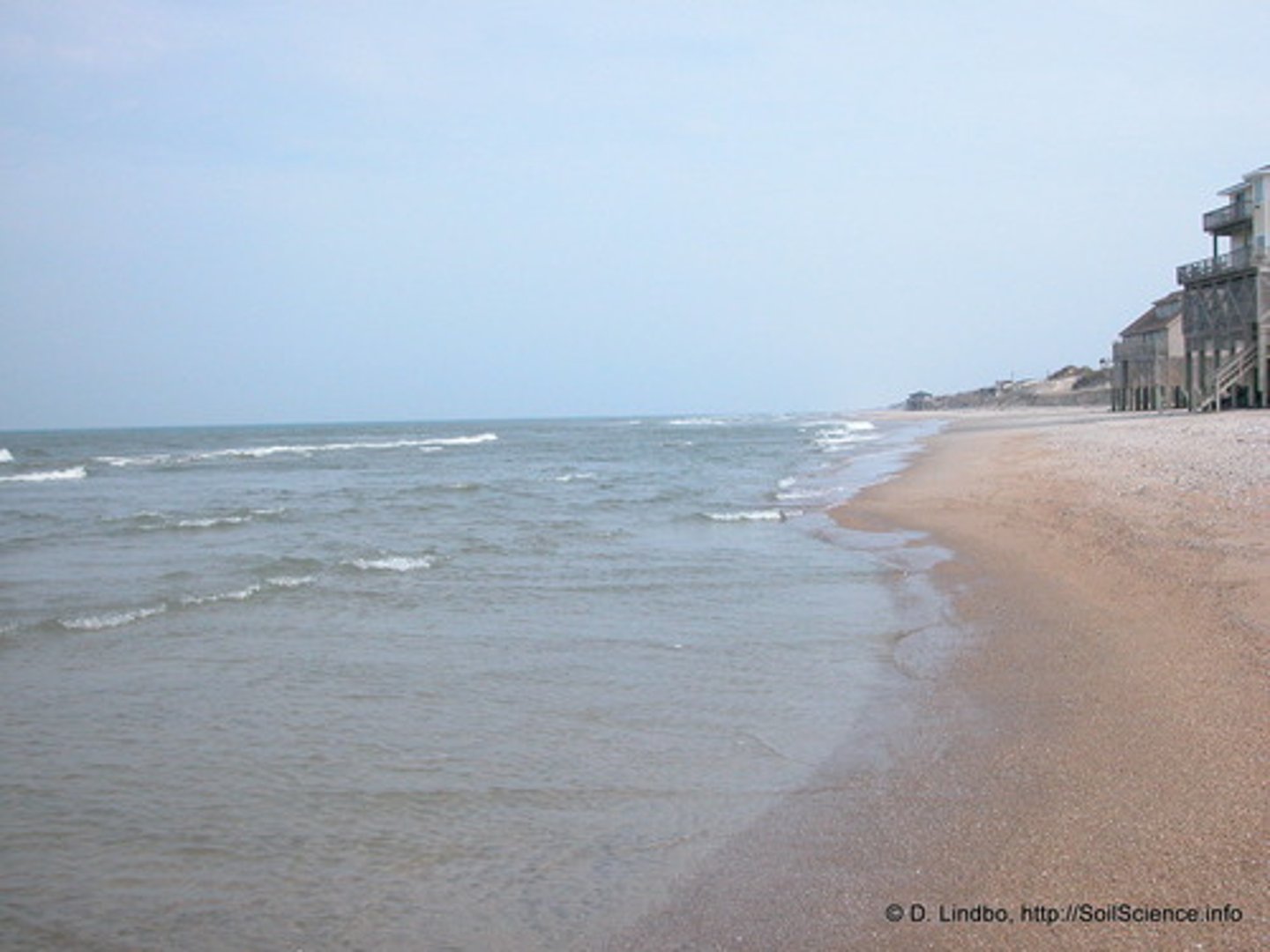 <p>related to the area where the land meets the sea</p>