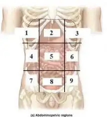 <p>Identify #2 region</p>