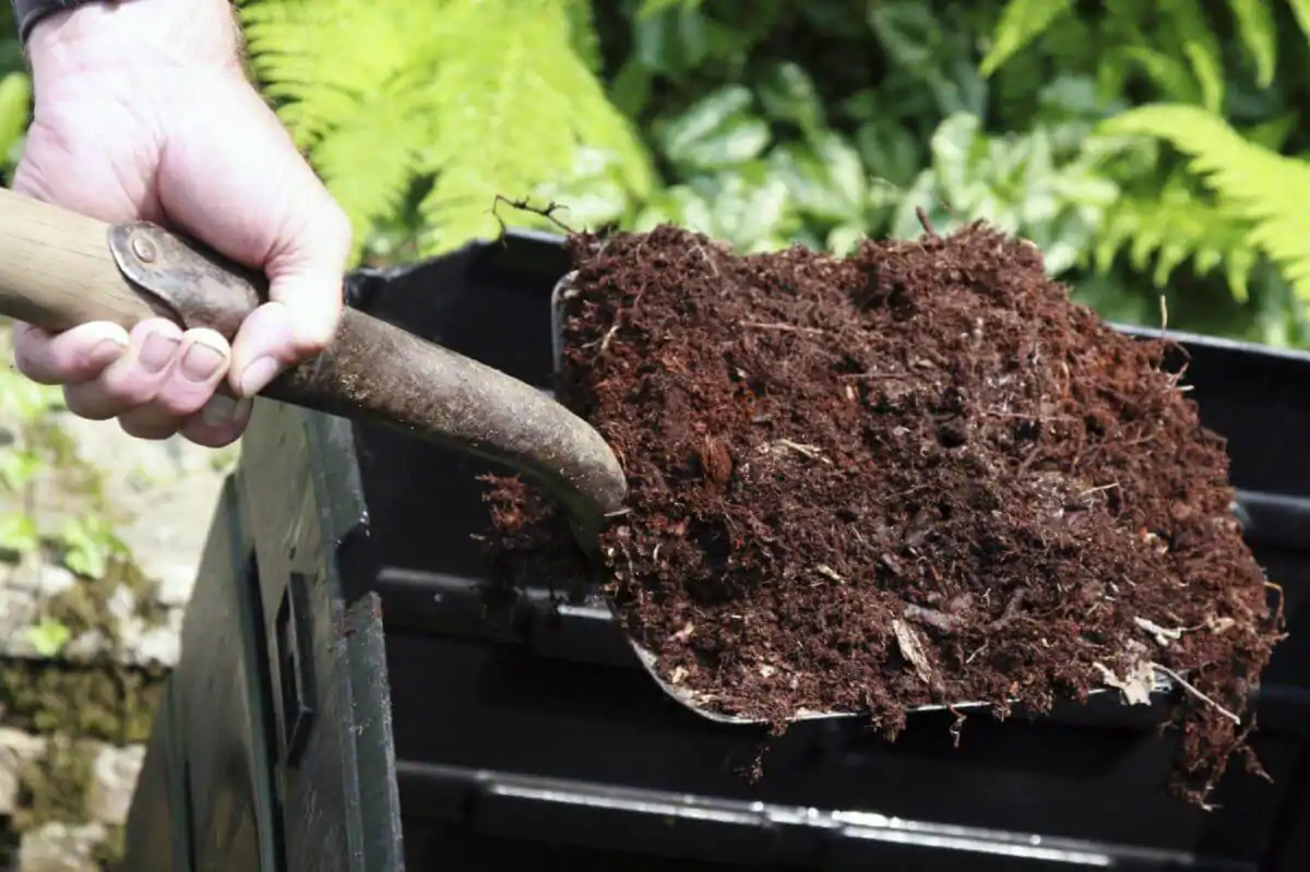 <p><u>Materials from living things or things that were once living</u>, which are a natural part of a thriving ecosystem.</p>