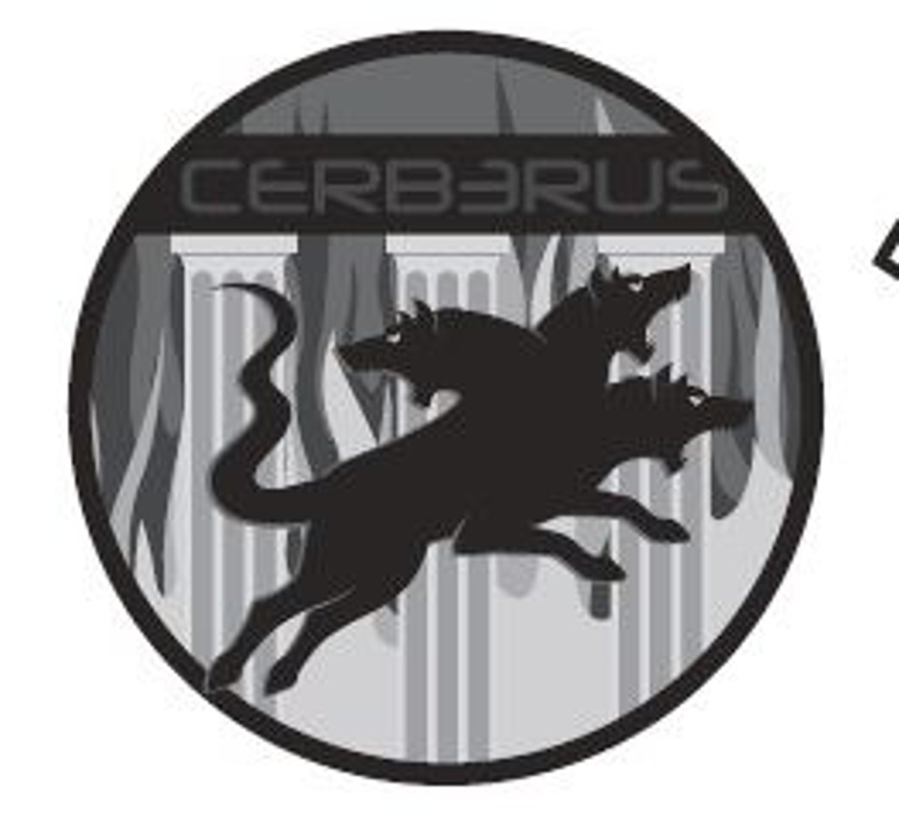 <p>CS-3</p>