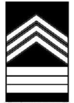 Cadet master sergeant