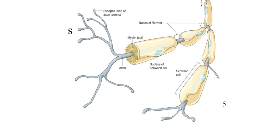 <p>Label the diagram </p>