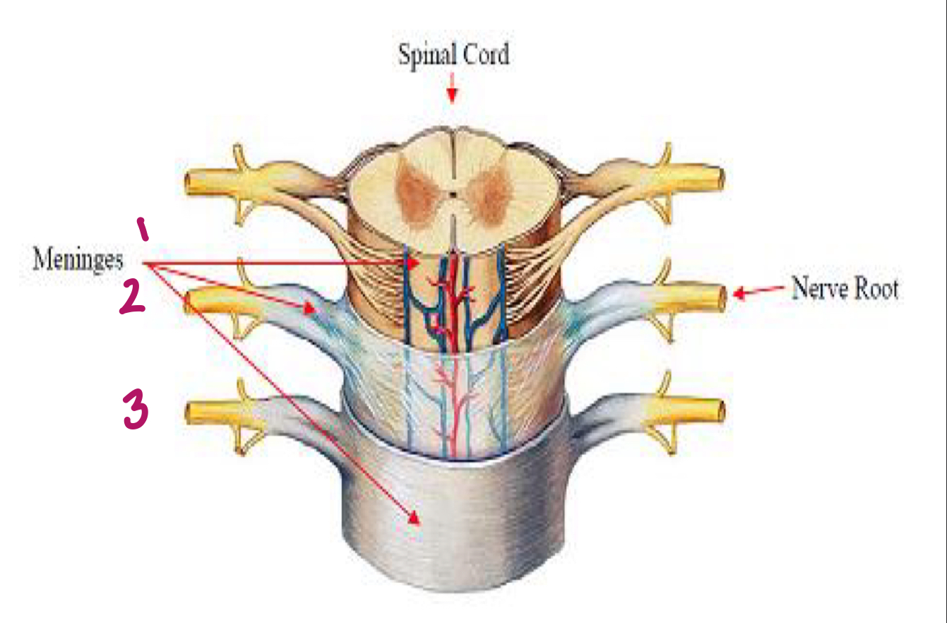 <p>Label figure 2.</p>