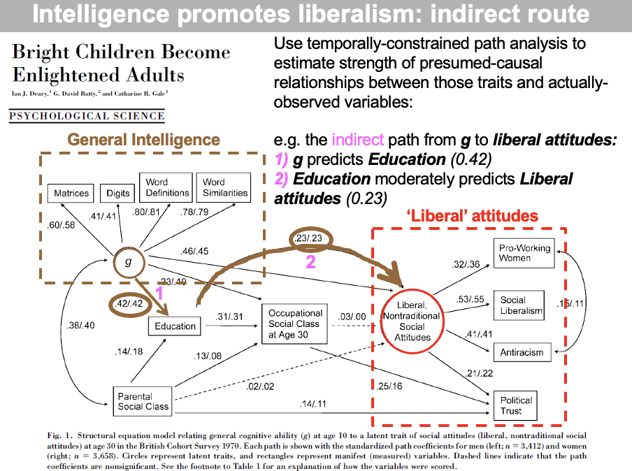 <ul><li><p>statistical technique for <strong>inferring</strong> causal relationships between latent &amp; observed variable<strong>s, only allows you to see the strength of the relationship, not the causally </strong></p><p>found that the indirect path from<strong> g</strong> to <strong>liberal attitudes</strong></p></li><li><p>1) g predicts education (0.42)</p></li><li><p>2) Eduction moderately predicts liberal attitudes (0.23)</p></li></ul><p></p>