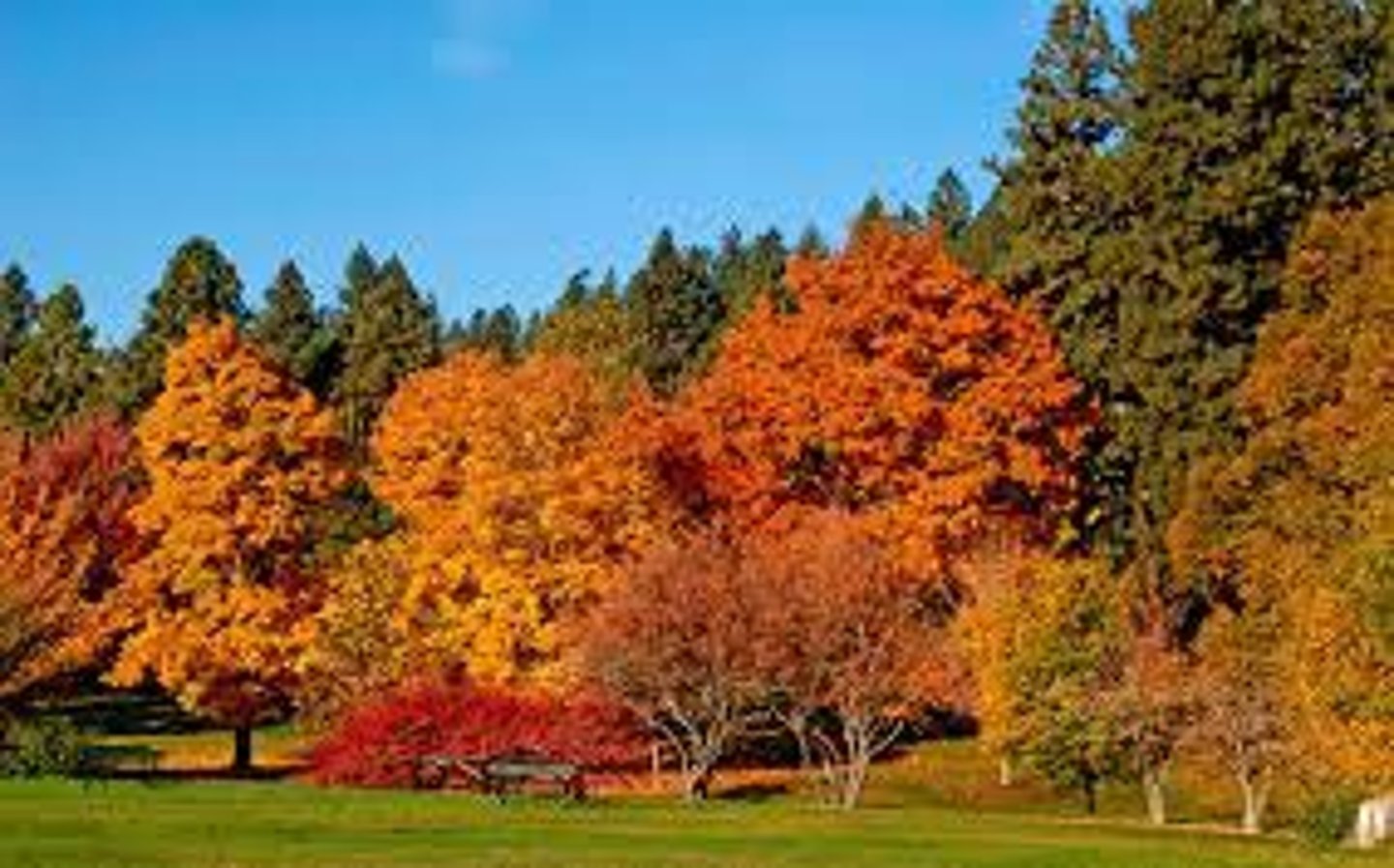<p>autumn</p>