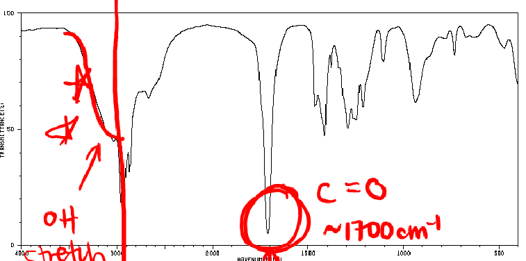 <p>C = O double bond</p>