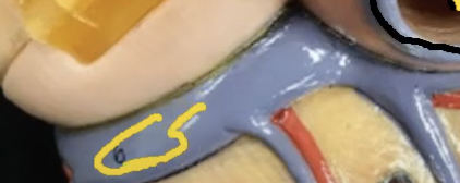 <p>What does the blue represent…</p>