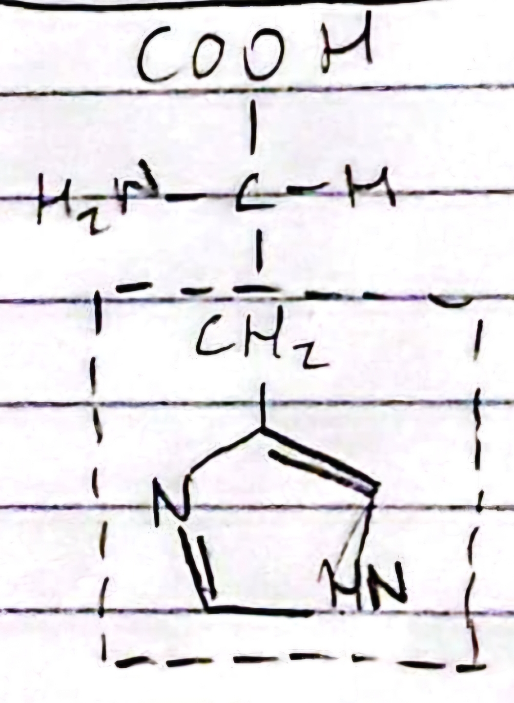 knowt flashcard image