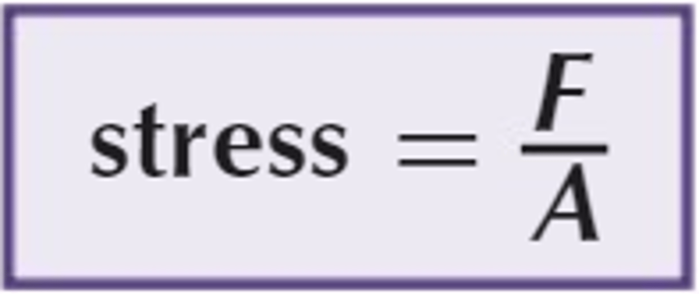 <p>T = F/A [N/m²]</p><p>Stress is the force applied by surface area. Units are Newtons by square meter</p>