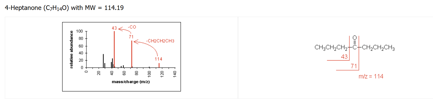 <p>Major fragmentation peaks result from cleavage of the C-C bonds adjacent to the carbonyl</p>