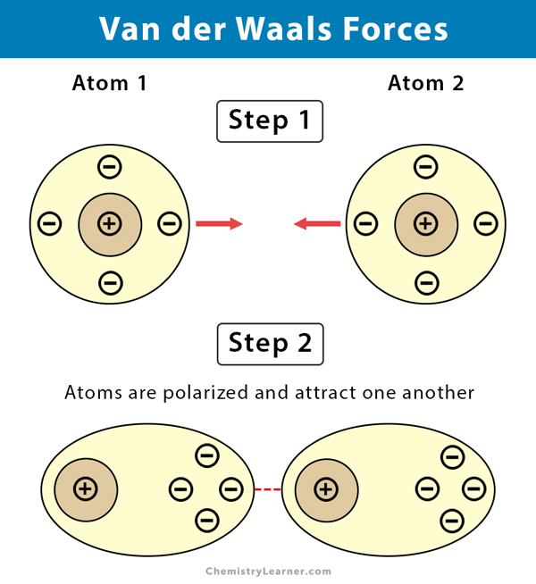 <ul><li><p>Weak attractions between molecules due to temporary partial charges.</p></li><li><p>Occur between polar, covalently bound, atoms in different molecules.</p></li></ul><p></p>