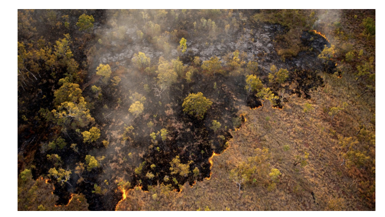 <p>what is an example of <strong>abiotic denitrification?</strong></p>