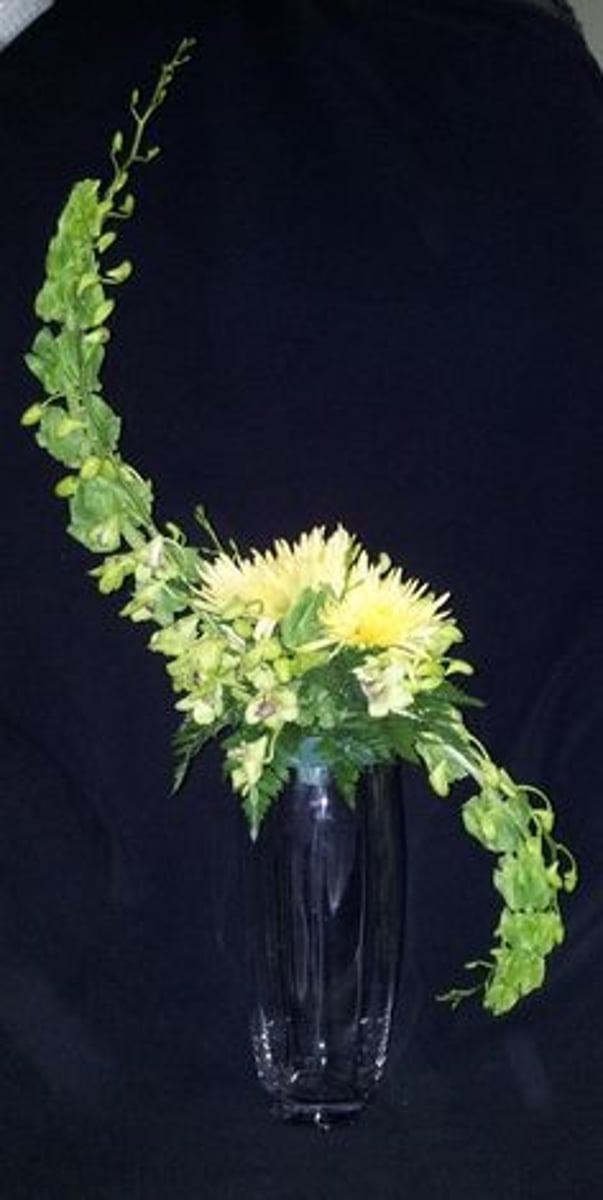 <p>hogarth curve</p>