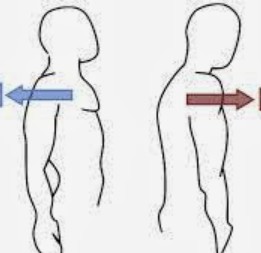 <p>Movement of the body part forward or backward (respectively)</p>