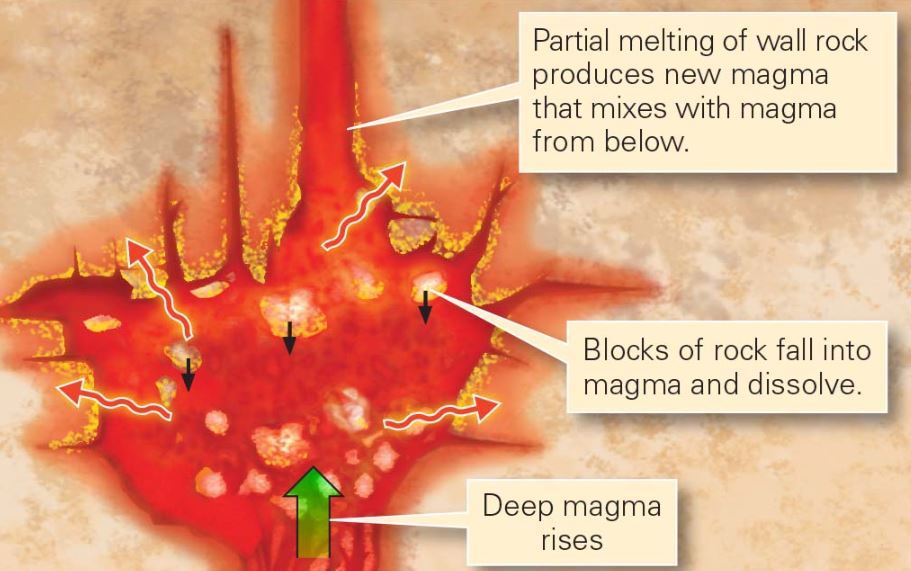 <p>The incorporation of chemicals that dissolved from the wall rock/from blocks that detached from the wall and sank into magma. </p>