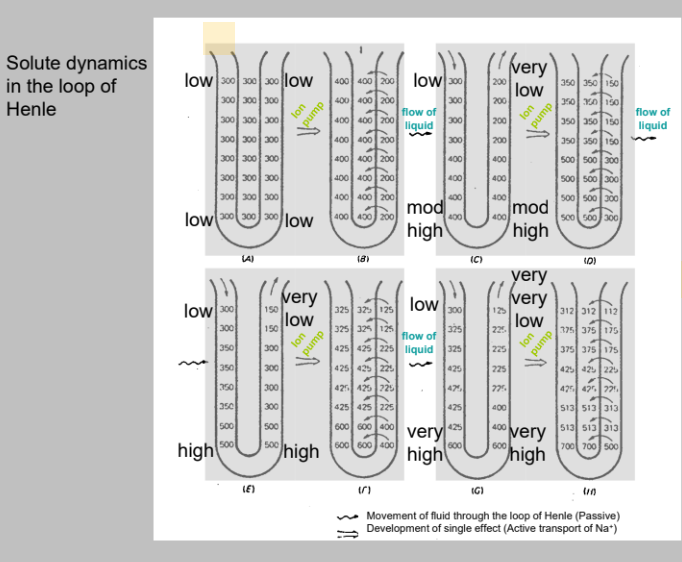 try and understand this