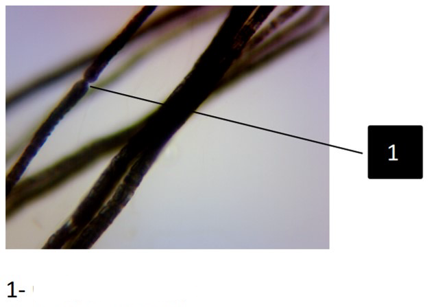 <p>Name trait &amp; which tissue it belongs to </p>