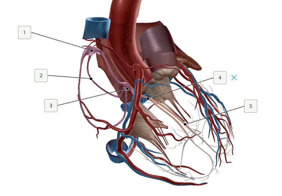 <p>What are these?</p>