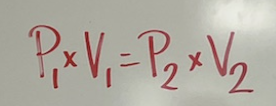 <p>which law is this?</p>