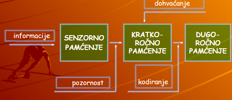 <p><span>imaju svoju funkciju, kapacitet i vrijeme trajanja. Te faze su povezane, događaju se istodobno s pomoću nekoliko tzv. kontrolnih procesa</span></p>