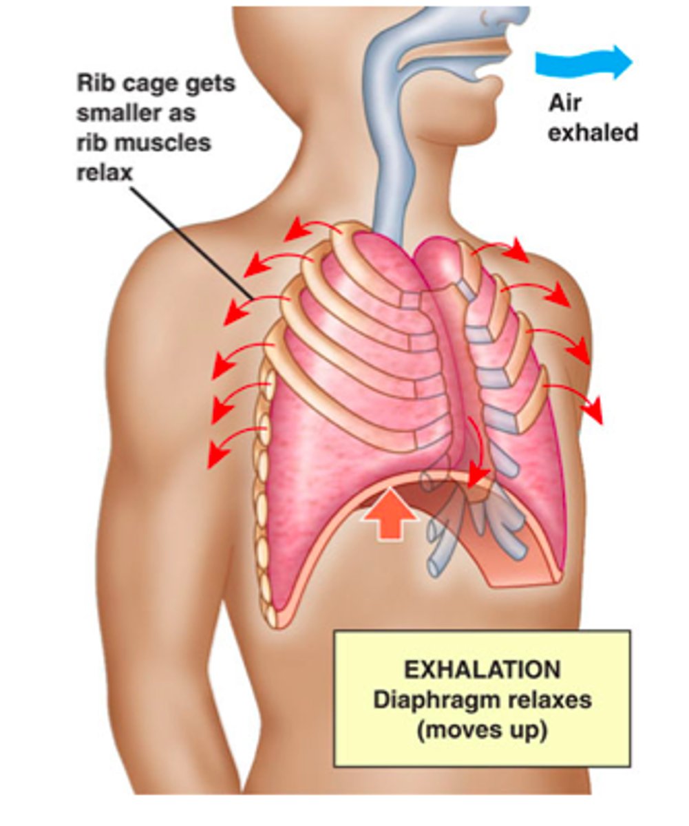<p>describe expiration</p>