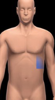 <p>Beneath the rib cage on the left side, primarily containing the spleen, stomach, and part of the left kidney. </p>