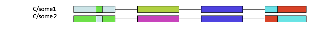 <ol><li><p>point mutations- single nucleotide change in the MHC gene and change one amino acid- can alter peptide binding specificity</p></li><li><p>gene conervsion- misalignment of chromsomes during meiosis. piece of DNA from one gene is copies into another gene and the original gene stays the same mostly but other one gets new DNA. new combo of DNA makes different MHC</p></li><li><p>recombination</p></li></ol><p></p>