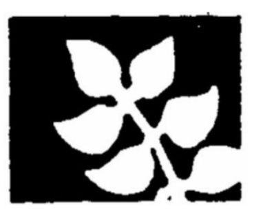 <p>Plant Safety</p>