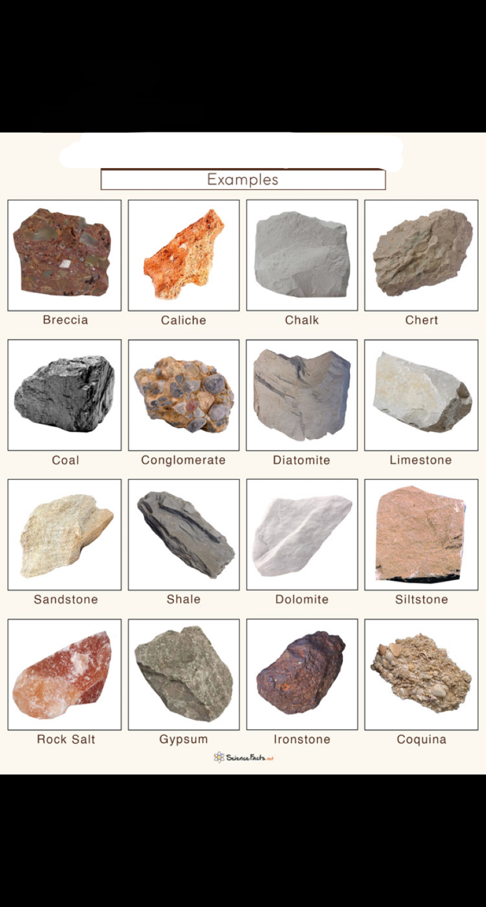form from accumulation of sediment, or precipitation of minerals in water, at the surface of the earth