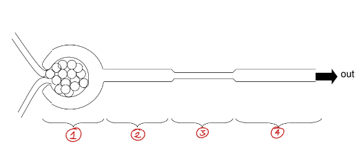 <p>Label this diagram of the nephron</p>