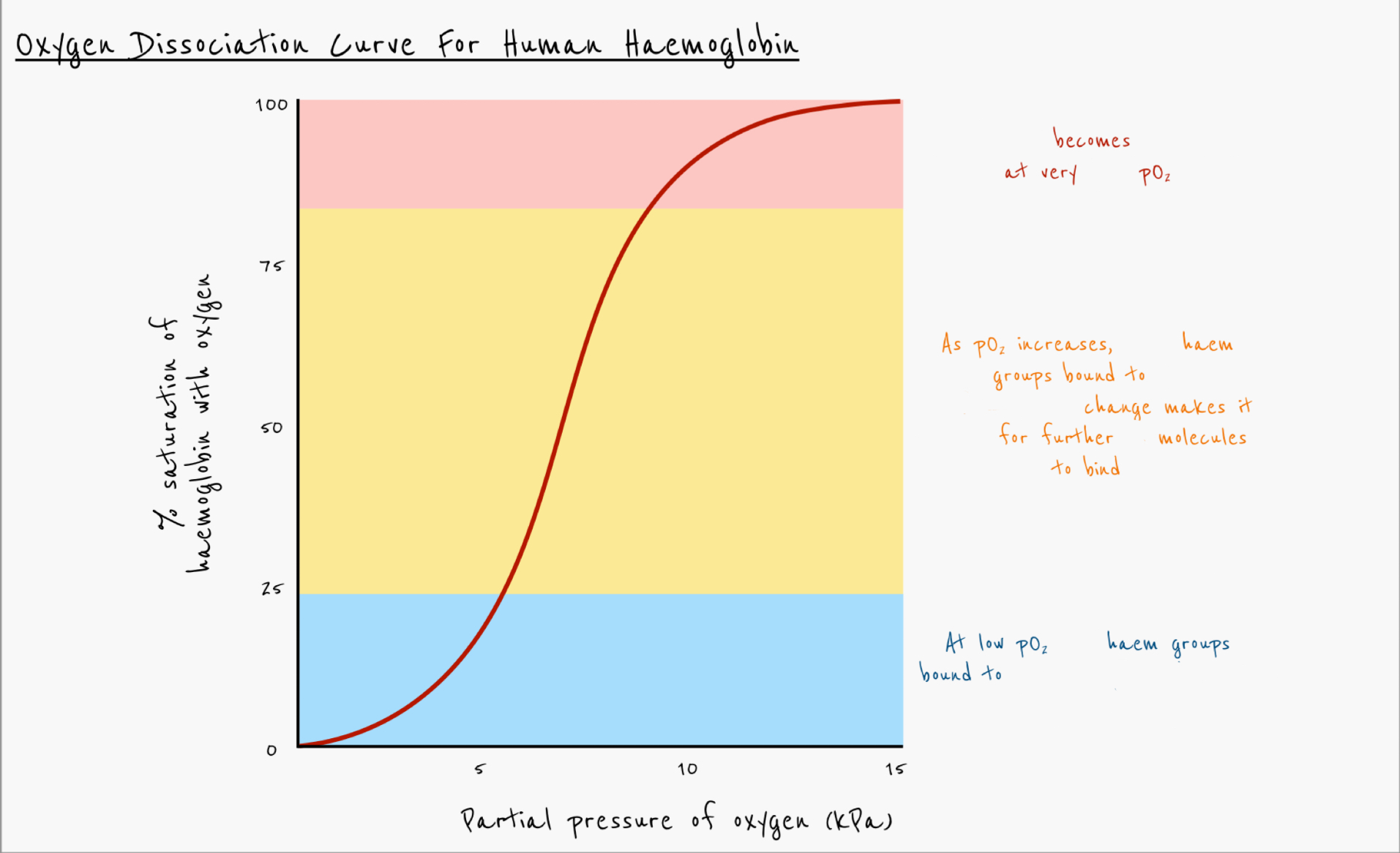 <p>Explain the oxygen dissociation curve for human haemoglobin </p>