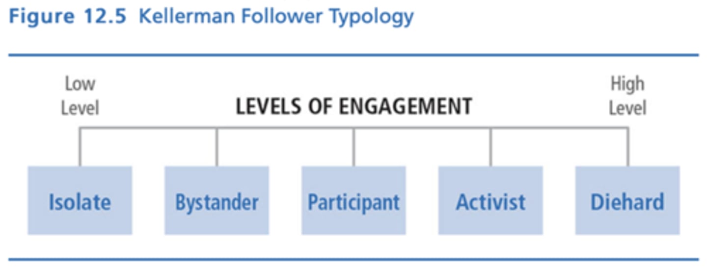 <p>The importance of leaders tends to be overestimated because they generally have more power, authority, and influence, while the importance of followers is underestimated.</p>
