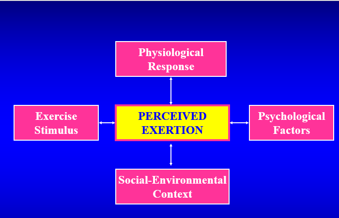 <p><span>What is perceived exertion?&nbsp;</span></p>